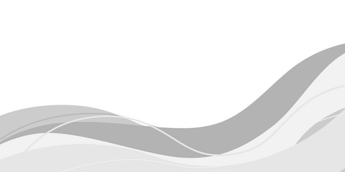 abstract white background with gray dynamic curve vector image