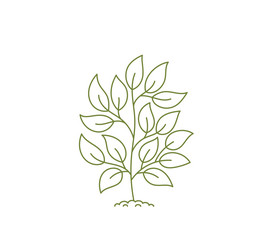 outline small tree open paths editable stroke vector image