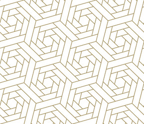 seamless pattern with abstract geometric line vector image