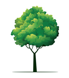shape of green tree with leaves outline vector image