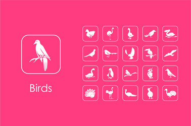 set of birds simple icons vector