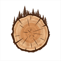 round tree trunk cut with trees and forest sawn vector image
