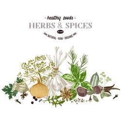 Hand drawn border with herbs and spices vector