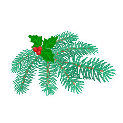 Christmas decoration branch of spruce and holly vector