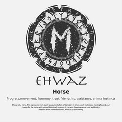 Viking Tiwaz Rune - Dark Shield Royalty Free Vector Image