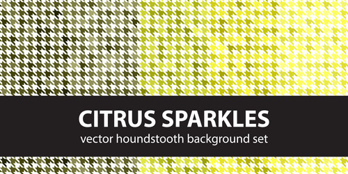 houndstooth pattern set citrus sparkles seamless vector image
