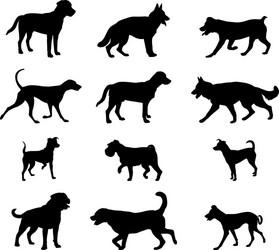 Dog Silhouettes Collection Vector Image