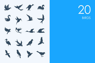 set of blue hamster library birds icons vector