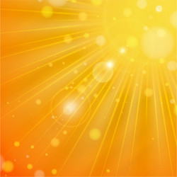 Abstract Summer Rays vector image