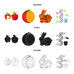 isolated object of test and synthetic sign set vector image
