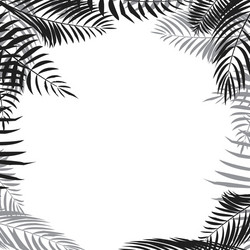 Palm Leaf Border Vector Images (over 6,900)