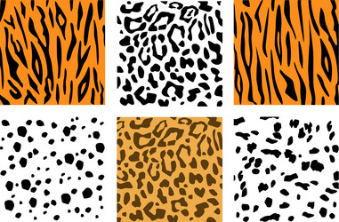 set of animal skin textures dalmatian leopard vector