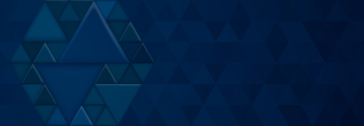 abstract background with triangular shapes vector image