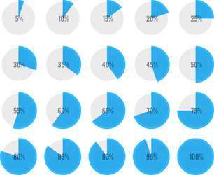 Pie Chart Data Visualizations vector image