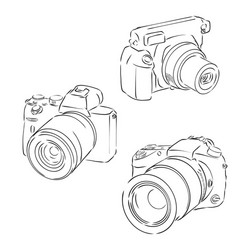 Camera birds Royalty Free Vector Image - VectorStock