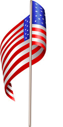 American Flag Isolated Vector Image