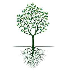 shape green tree outline Vector Image