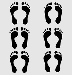 human feet Vector Image