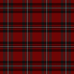 Macgregor tartan scottish cage background vector