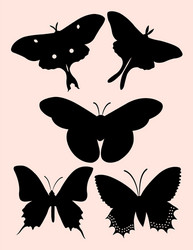 Elegant Silhouette of a Woman Vector Image