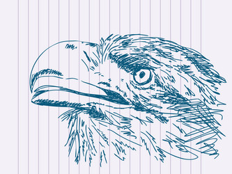 Hand drawn eagle Royalty Free Vector Image - VectorStock
