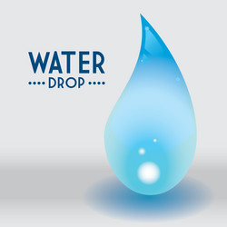 Water drop and leaf Royalty Free Vector Image - VectorStock