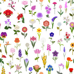 Floral Pattern - Garden Flowers Vector Image