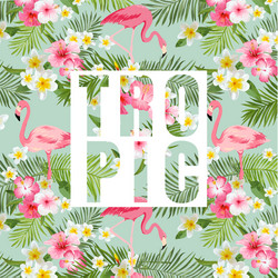 Tropical Flamingo Floral Background Vector Image
