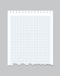 torn notebook page realistic checkered sheet vector image