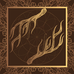 horns a set of elements in the style boho vector image