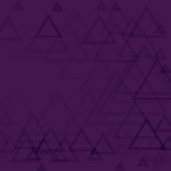 outline figure triangle in mesh pattern two vector image