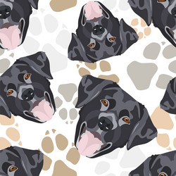 Black Labrador Paw Print Pattern vector image