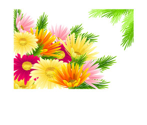spring background vector image