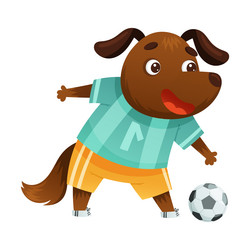 Dog animal playing soccer cute football mascot vector