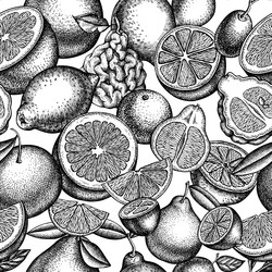 Lemon tree seamless pattern hand drawn Royalty Free Vector