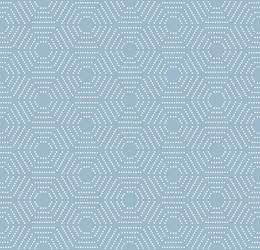 seamless pattern with hexagonal dotted vector image