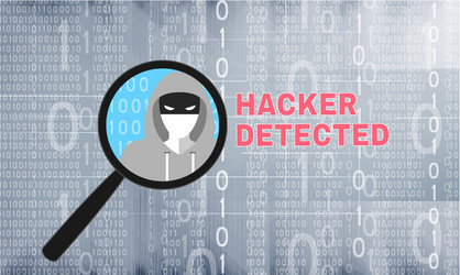 hacker detected theme with magnifier vector image