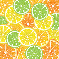 various citrus slices5 vector image