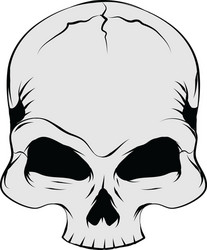 Detailed Skull Tattoo Vector Image