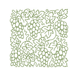 grape vine pattern branches and leaves vector