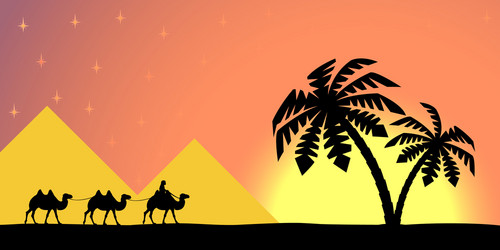 man on camel in palm trees at sunset vector