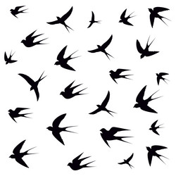 birds on a white background Vector Image