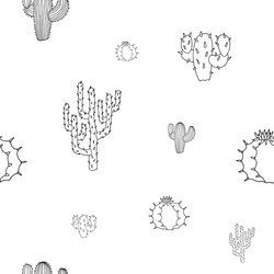 Seamless pattern with cactuses isolated vector