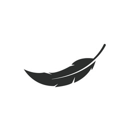 feather icon design element vector image