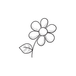 flower sketch icon vector