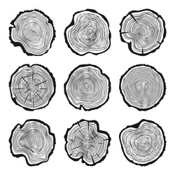 Round tree trunk cuts with cracks sawn pine vector