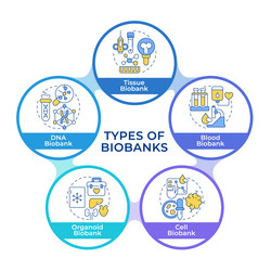 types of biobanks infographic circles flowchart vector image