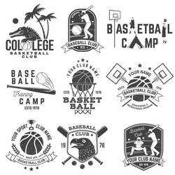 Sports Badge Collection Vector Image