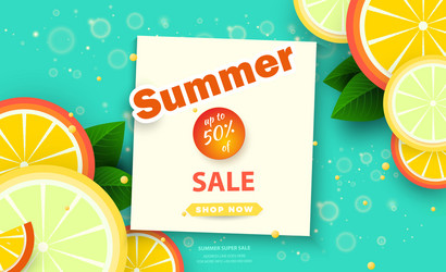 Summer sale background for bannersorange slices vector