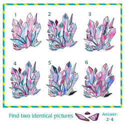 Visual puzzle - find two identical images vector